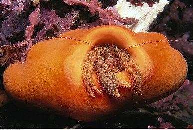 恐怖游戏《SIMULACRA 3》发售 国区售价48元